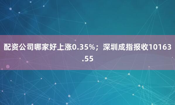 配资公司哪家好上涨0.35%；深圳成指报收10163.55