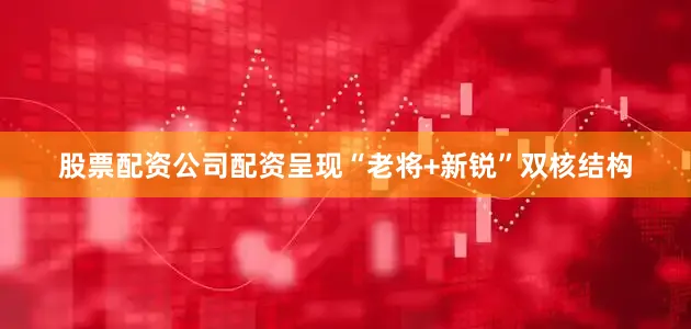股票配资公司配资呈现“老将+新锐”双核结构