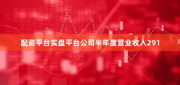 配资平台实盘平台公司半年度营业收入291