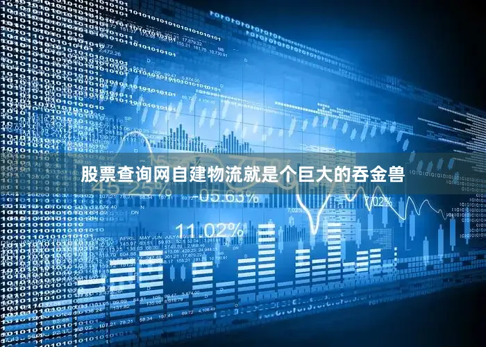 股票查询网自建物流就是个巨大的吞金兽